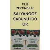 Salyangoz Sabun Kutulu 100GR