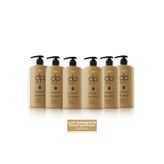 Şampuan Çam Terebentin 800 ml X 6 Adet