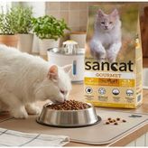 SanCat Kedi Mama - Gurme