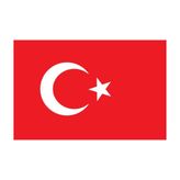 Saray Türk Bayrağı 20x30