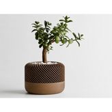 SBN - Store 3D Baskı Modern File Desenli Dekoratif Saksı - Minimal Çiçek Saksısı, Ev ve Ofis Bitki Saksısı-Kahverengi