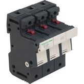 Schneider DF143C Kartuş Sigorta Yuvası 50A 3p