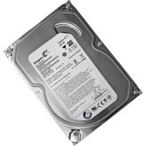Seagate 500 GB ST500VT003 Sabit Disk