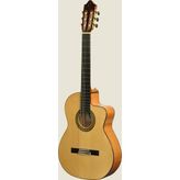 Seagull Elektro Klasik Gitar