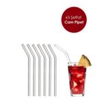 Şeffaf 6'lı Cam Eğimli Pipet Cam Pipet