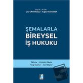 Şemalarla Bireysel İş Hukuku