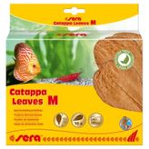 Sera 18 cm 10 Yaprak M Catappya Yaprağı