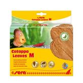 Sera M 18 cm 10'lu Paket Catappa Yaprağı