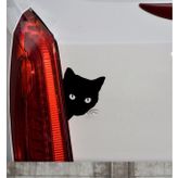 Sevimli Kedi Z Araba Sticker Yapıştırma