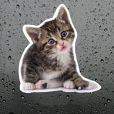 Sevimli yaramaz kedi araba Sticker Etiket 18CM m2