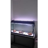 Shark Beyaz 100 cm Bar Led Akvaryum Aydınlatma