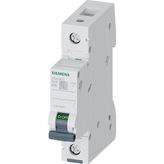 Siemens 16 Amper Sigorta B Tip B1x16