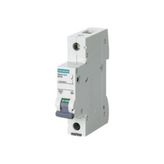 Siemens B1X32 Amper Monofaze Sigorta