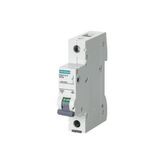 Siemens B1x40 Amper Sigorta