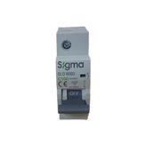 Sigma 100A C/6ka Otomatik Sigorta Sigma - 100 A