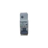 Sigma 100A C/6Ka Otomatik Sigorta Sigma