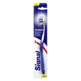 Signal Performance Medium Diş Fırçası