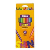 Silka Shiny 12'li kuru boya