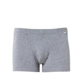 Silver Gri Boxer 9310 GRİ 2XL