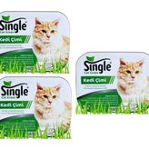 Single Natural Kedi Çimi (3 ADET)