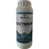 Siova Bacterium 1 lt Mikrobiyal Gübre