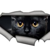 Siyah Sevimli Kedi Yavrusu Araba Sticker 18 Cm