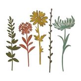 Sizzix Thinlits zımba şablonları 5 adet - yaban çiçeği sap #1 Tim Holtz