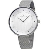 Skagen SKW2140 Bayan Kol Saati