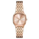 Skagen SKW3166 Kadın Kol Saati