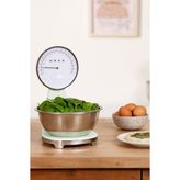 SMEG Mutfak Tartısı Pastel Yeşil
