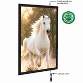Snapper Magneco Ledbox Tek Taraflı Işıklı Çerçeve B1