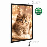 Snapper Magneco Ledbox Tek Taraflı Işıklı Çerçeve B2