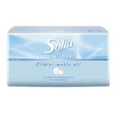 Sofia Skin Love 100'lü Mendil