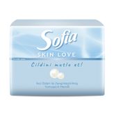 Sofia Skin Love 75'li Mini Mendil