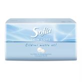 Sofia Skin Love Mendil 100'Lü 2 Adet