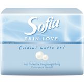 Sofia Skin Love Mini Mendil 75'Li 2 Adet