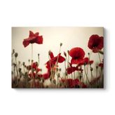Soft Gelincik Tablosu 100 x 70