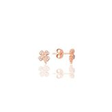 Söğütlü Silver Gümüş rose şansın ışıltısı yonca küpe [barcode]