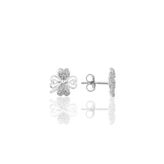 Söğütlü Silver SGTL9244 Kadın Küpe