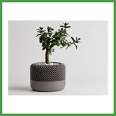 Soi Home 3D Baskı Modern File Desenli Dekoratif Saksı - Minimal Çiçek Saksısı, Ev ve Ofis Bitki Saksısı-Gri Soı