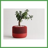 Soi Home 3D Baskı Modern File Desenli Dekoratif Saksı - Minimal Çiçek Saksısı, Ev ve Ofis Bitki Saksısı-Kırmızı Soı