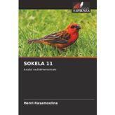 SOKELA 11: Analisi multidimensionale
