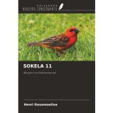 SOKELA 11: Revisión multidimensional