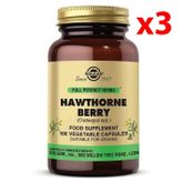 Solgar Hawthorne Berry 3x100 Kapsül
