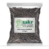 Solucan Gübresi Katı