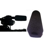 Sony Hxr Mc2000 Kamera Mikrofon Süngeri