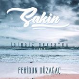 Sony Music Feridun Düzağaç Sakin Plak