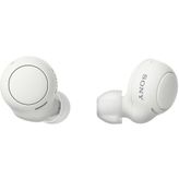 Sony WF-C500 Bluetooth Kulaklık