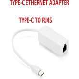 SpeedUF Type-C Erkek - RJ45 Dişi Çevirici