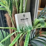 Spirulina Tozu - Tek kullanımlık saşe(ler)